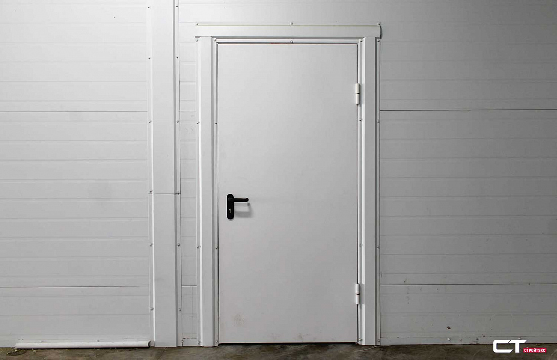 Дверь противопожарная металлическая EIS60 однопольная глухая