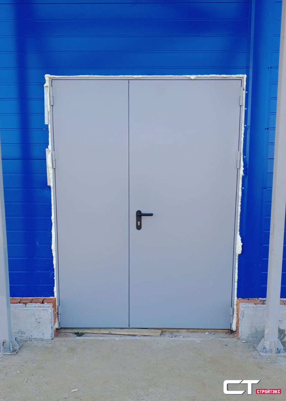 Дверь противопожарная металлическая EIS60 с фрамугой двупольная